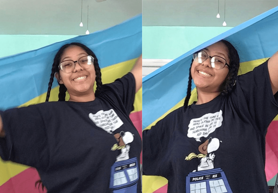 Pansexual Pride Flag