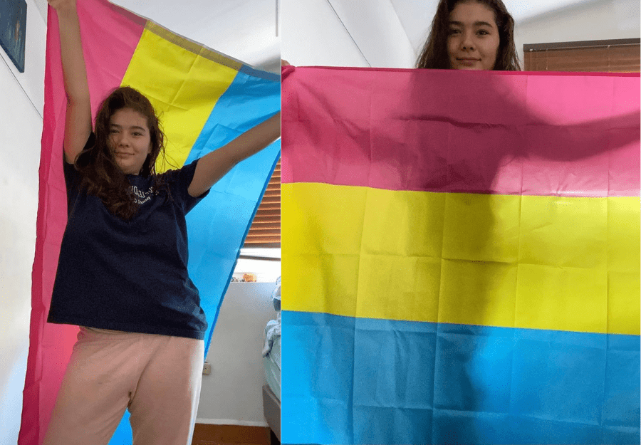 Pansexual Pride Flag