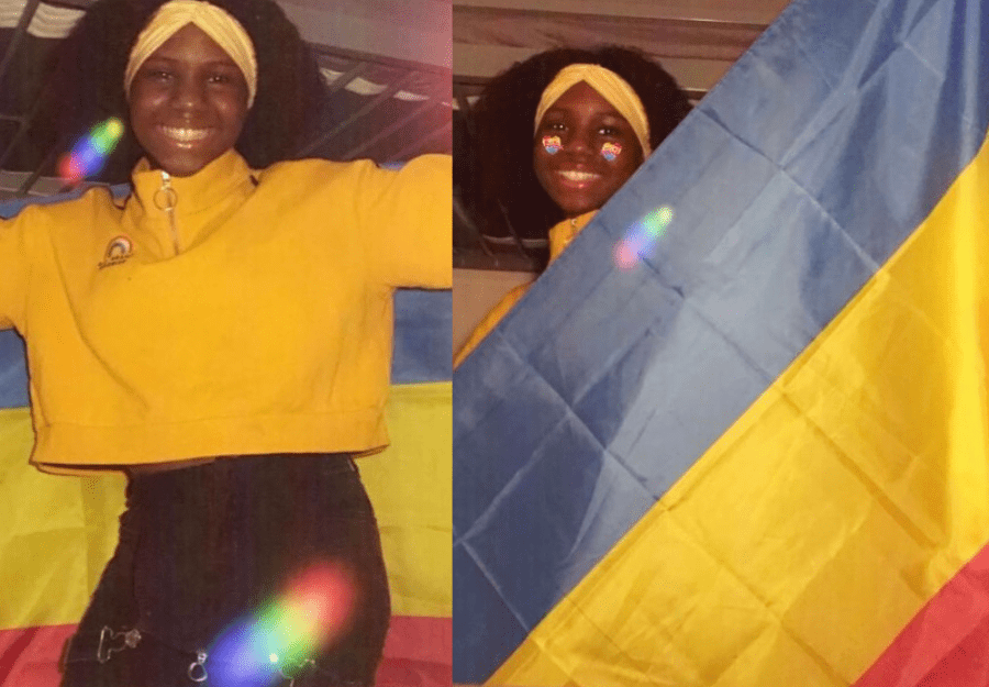 Pansexual Pride Flag