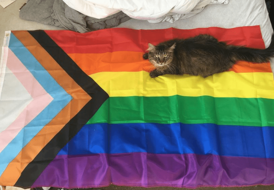 Progress Pride Flag