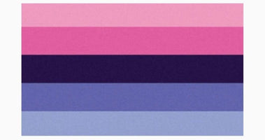 Omnisexual Flag