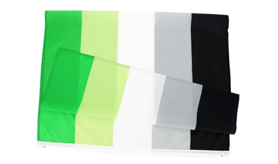 Aromantic Flag