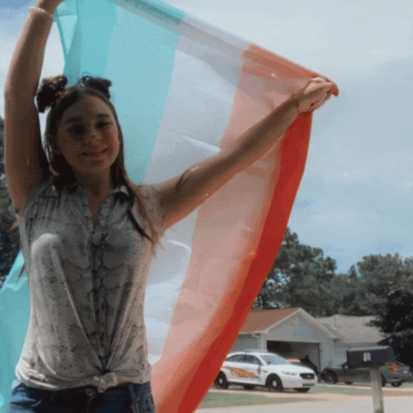 Abrosexual Pride Flag
