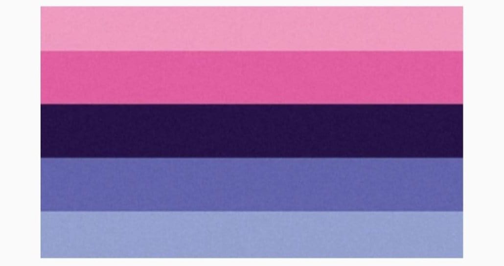 Omnisexual Flag