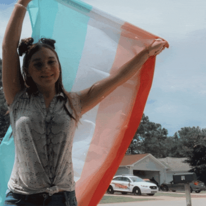Abrosexual Pride Flag